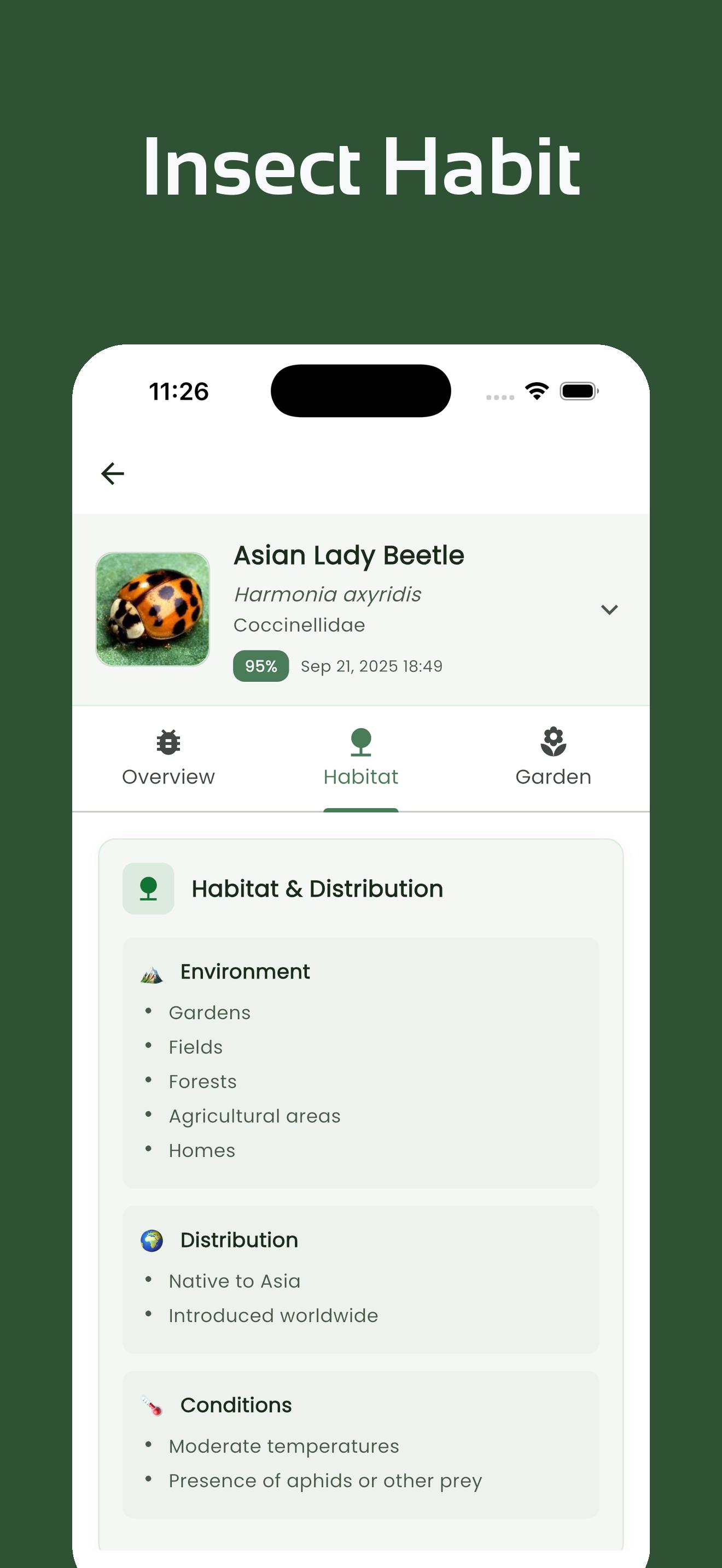 InsectsLen Screenshot 4